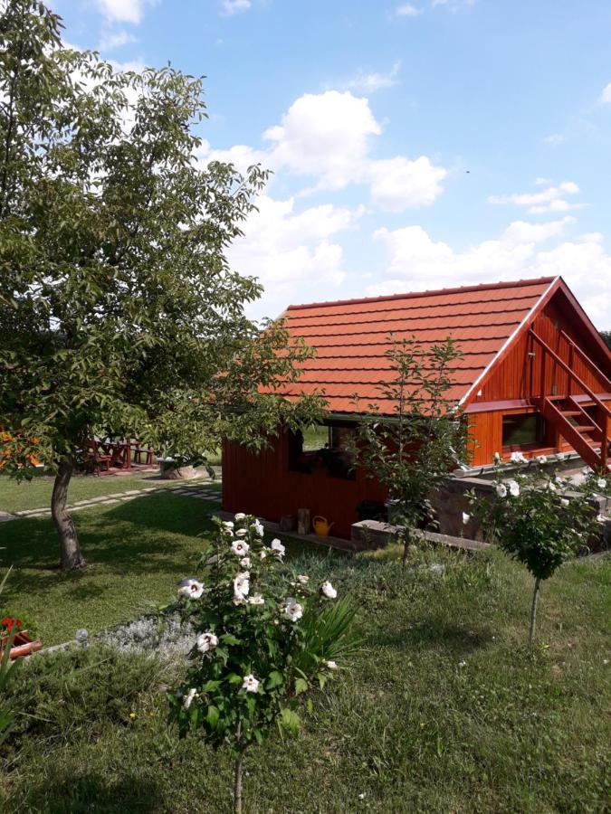 Matyas Apartman Tard المظهر الخارجي الصورة