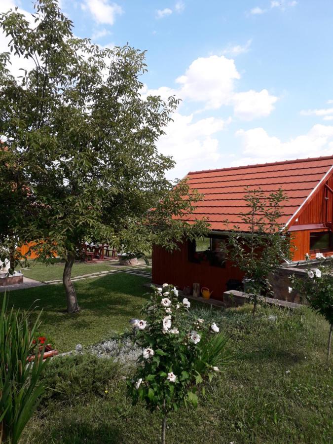 Matyas Apartman Tard المظهر الخارجي الصورة